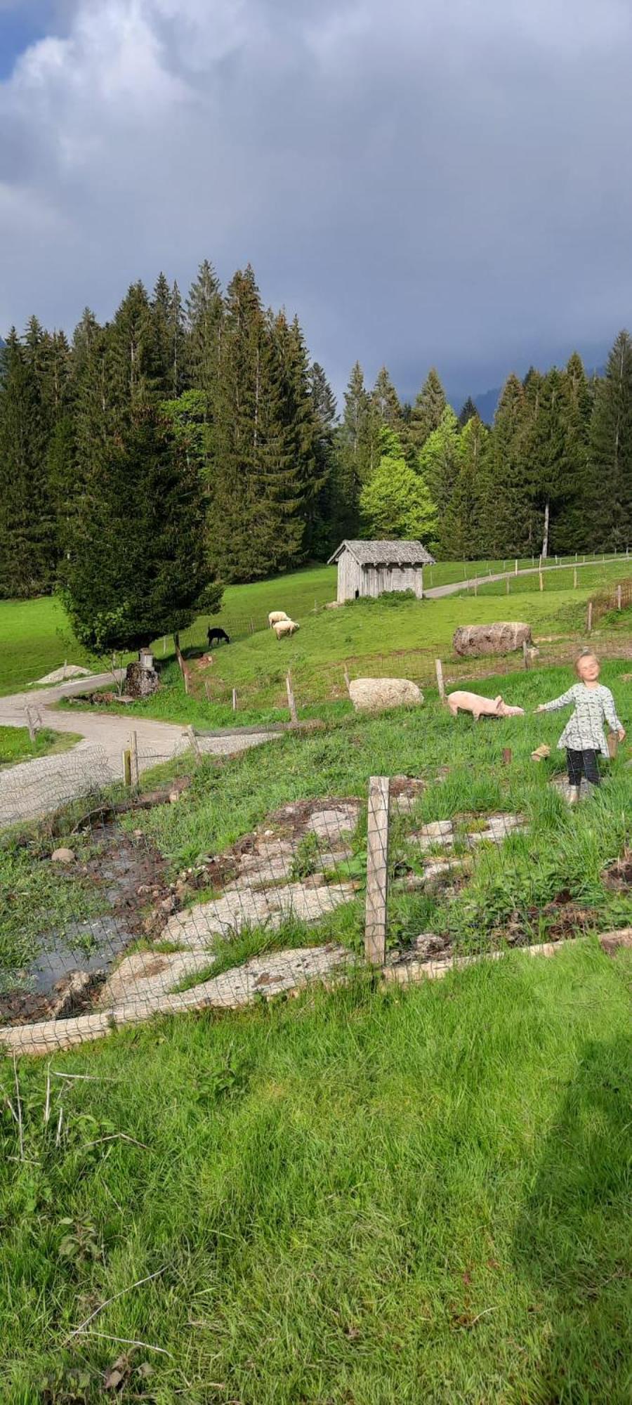Jausenstation Neuschwand Villa Hittisau Dış mekan fotoğraf