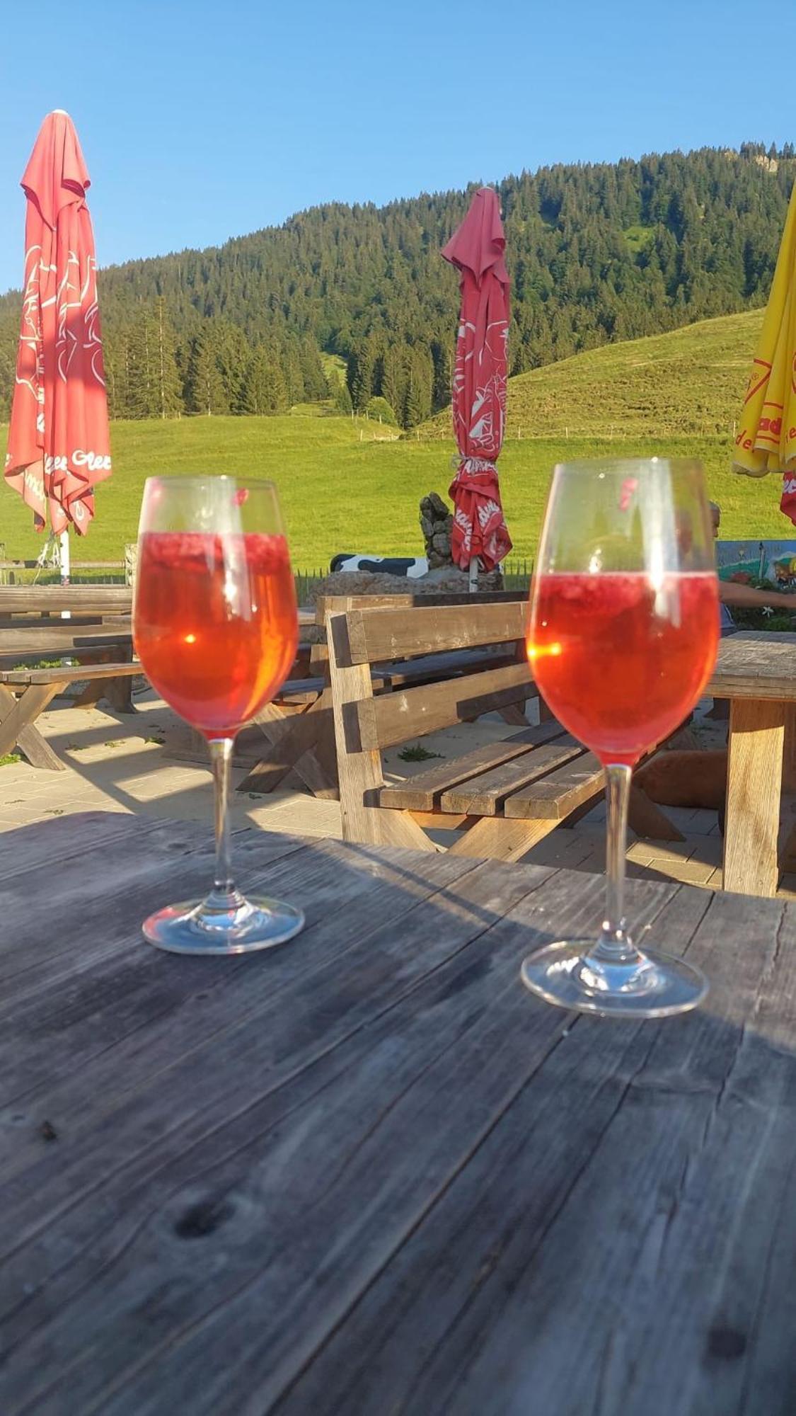Jausenstation Neuschwand Villa Hittisau Dış mekan fotoğraf