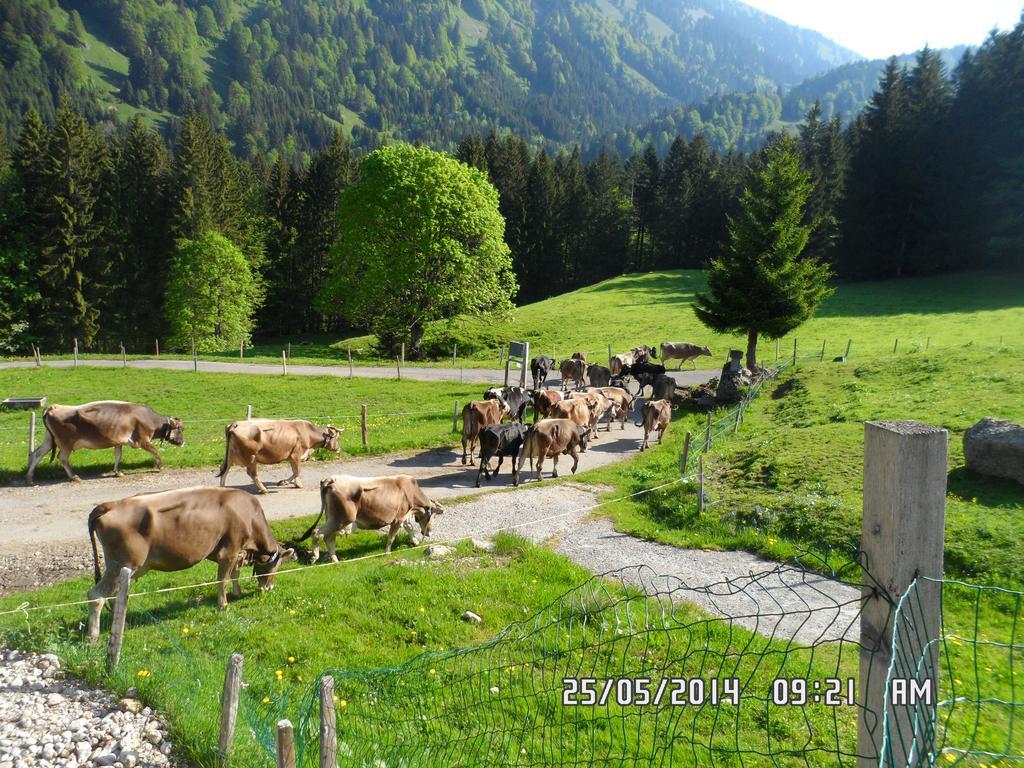Jausenstation Neuschwand Villa Hittisau Dış mekan fotoğraf