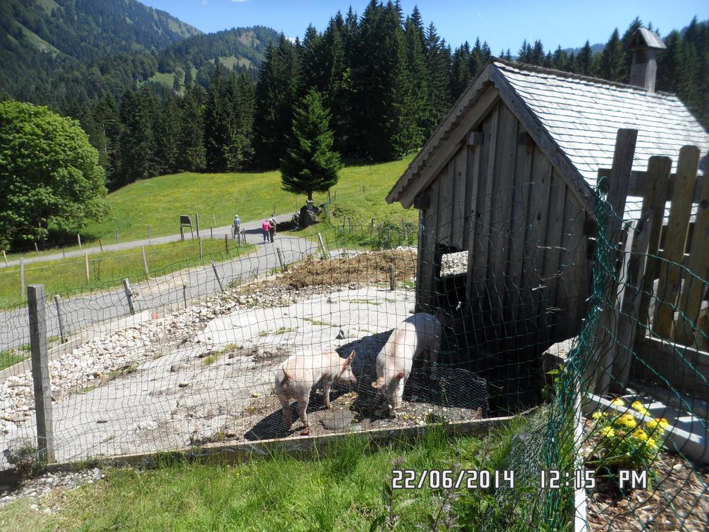 Jausenstation Neuschwand Villa Hittisau Dış mekan fotoğraf