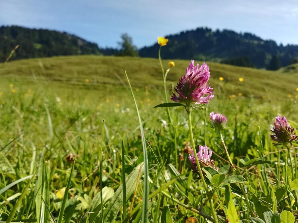 Jausenstation Neuschwand Villa Hittisau Dış mekan fotoğraf